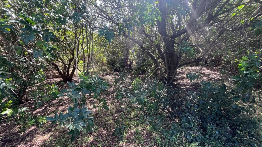 Commercial Property for Sale in Paradise Beach Eastern Cape